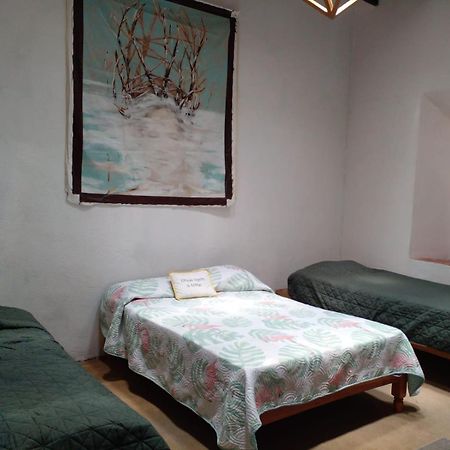 Casa Aldama 83 Hotell San Miguel de Allende Eksteriør bilde
